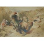 WILLIAM HUGGINS (1820-1884) POULTRY AND DOVES Watercolour and pencil 24 x 34.5cm. ++ Faded; a few