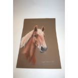 MARGARET ANDERSON ANIMAL & HUMAN PORTRAITS including a pastel portrait of a Horse (signed), Cats &