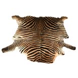 ZEBRA SKIN a Zebra skin, 178cms long