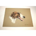 MARGARET ANDERSON - DOG PORTRAITS 8 original portraits of Dogs, each drawn in pastels. Including
