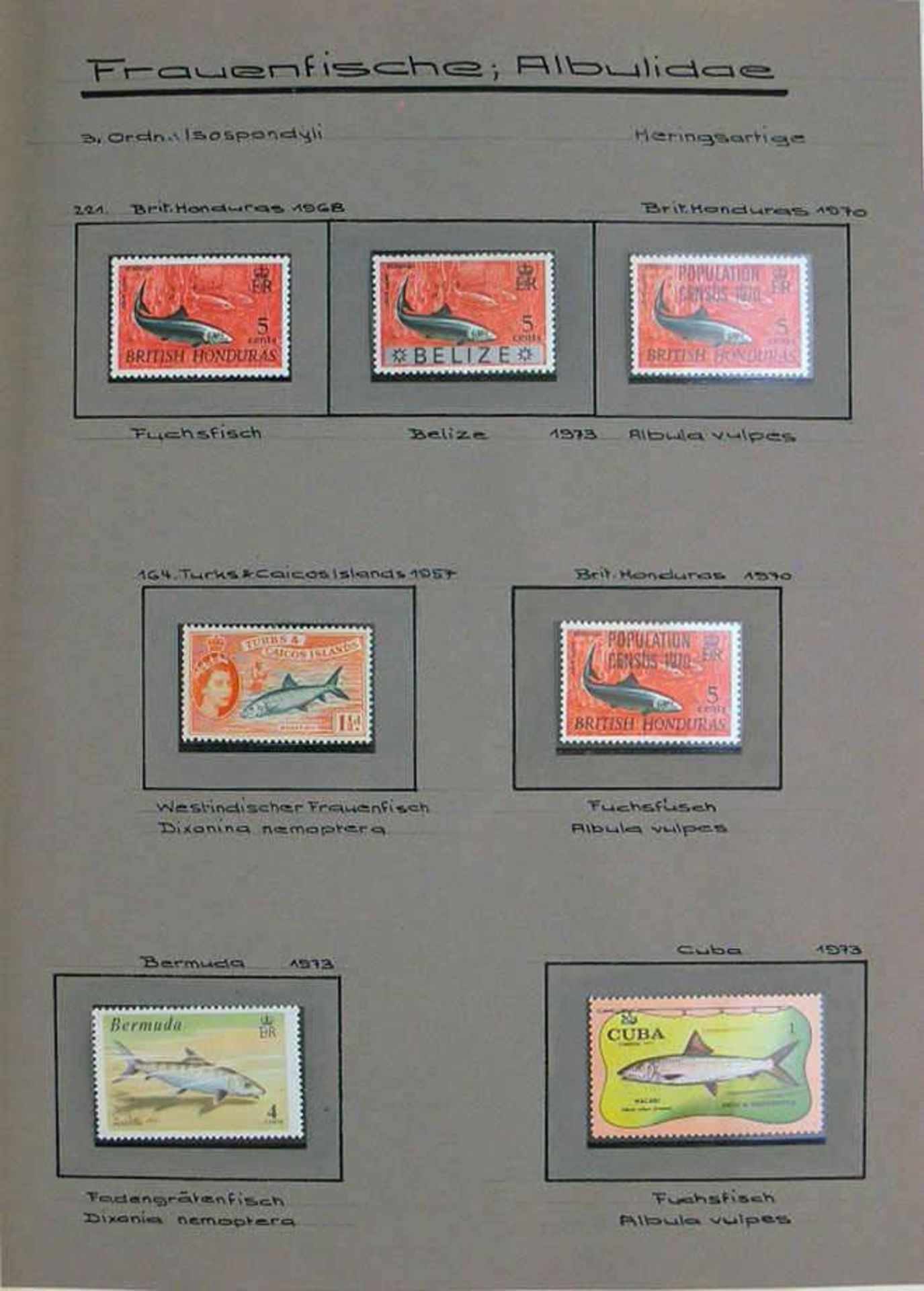 Reserve: 50 EUR        Umfassene Motivsammlung mit Marken und Blocks aus aller Welt, 1940/1988, - Image 3 of 6