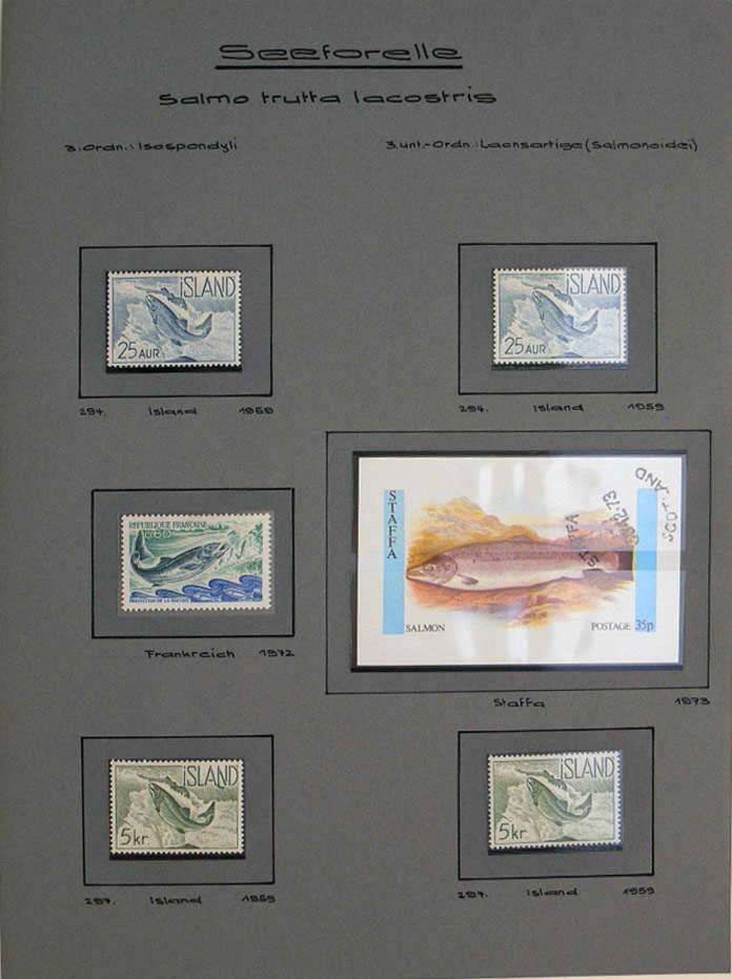 Reserve: 50 EUR        Umfassene Motivsammlung mit Marken und Blocks aus aller Welt, 1940/1988, - Image 6 of 6