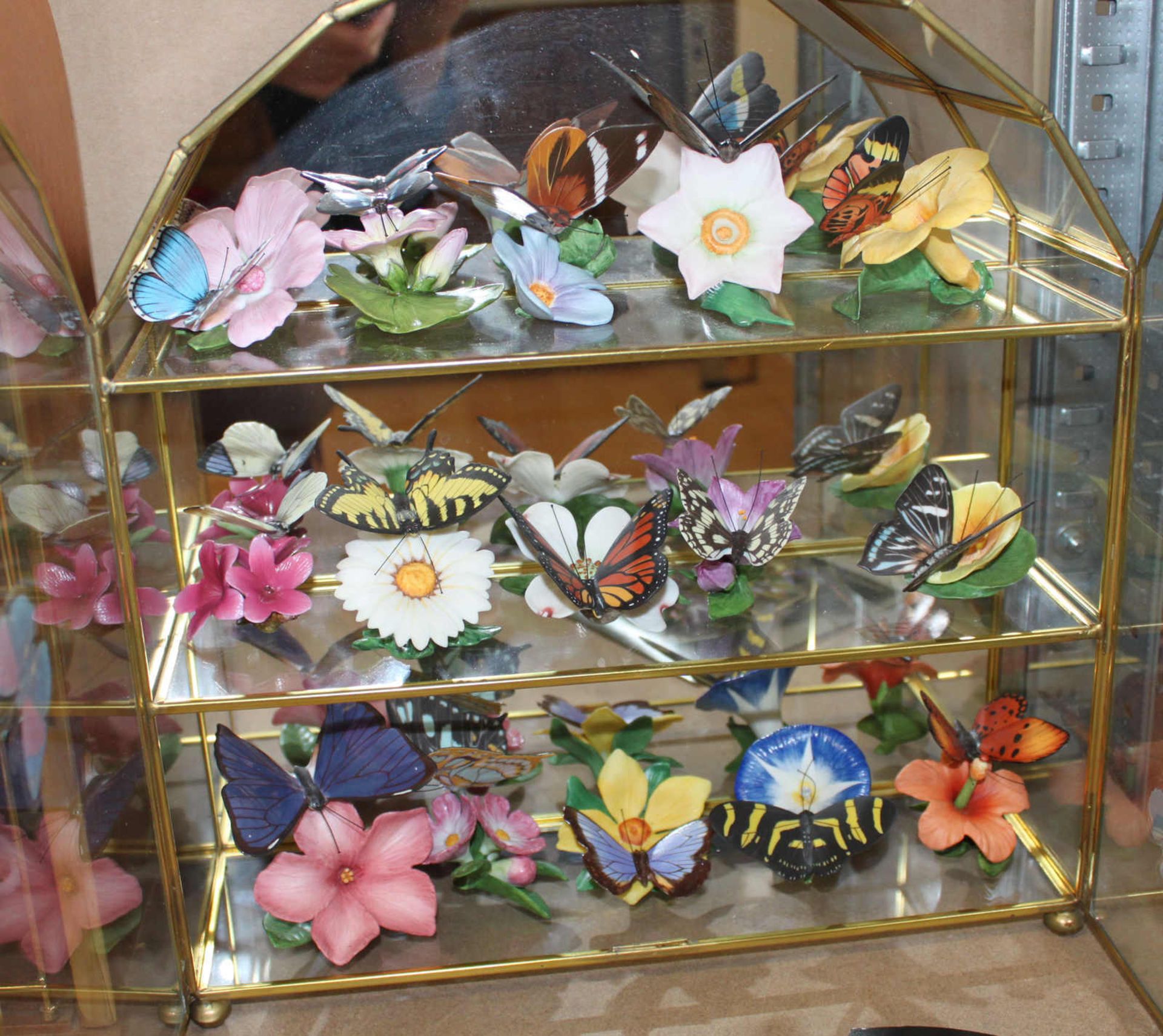 15 Porzellanschmetterlinge von Franklin Mint "Die Schmetterlinge der Welt", im Glaskasten vom