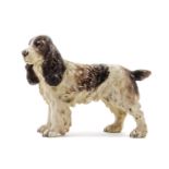 * An Austrian Cold-Painted Bronze Model of a Spaniel   circa 1900   in a standing pose,