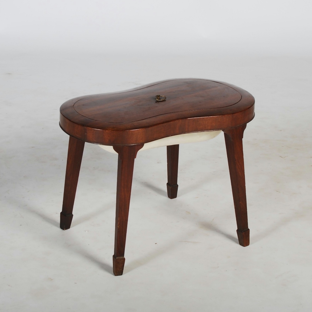 A 19th century mahogany bidet, cover and Wedgwood pottery liner, of shaped oval form with detachable