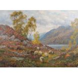 Arthur Trevor Hadden (1864-1941) Highland landscape with sheep grazing oil on canvas, signed lower