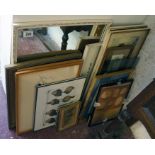 Collection of mirrors and prints