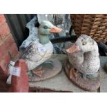 Pair of stone ducks