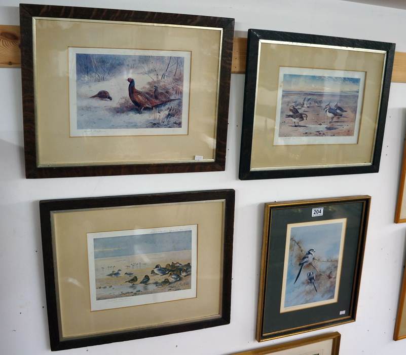 4 ornithology prints, signed Archibald Thorburn