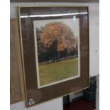 L/E & signed print 'Red Oak' by Greenwood