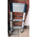 Youngman telescopic ladder