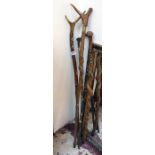 4 antler handled walking sticks