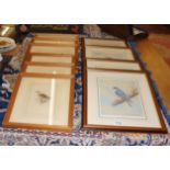 Set of 4 L/E and signed bird prints with 6 others
