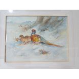 James Stinton (Royal Worcester artist), pheasants seated before trees in snow, signed lower right,