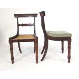 A set of eight William lV rosewood bar back dining chairs with cane seats, turned front and sabre