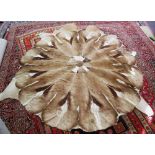 CIRCULAR COWHIDE RUG, 200cm diam.