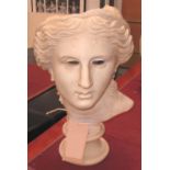 BUST, of a Classical Lady, 50cm H.