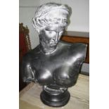 CLASSICAL BUST, plaster, by Bennison, wi