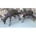 BRONZE, a pair, of grazing fawns, 55cm L