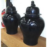 TEMPLE JARS, a pair, in Prussian blue ce