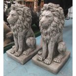 STONE LIONS, a pair, reconstituted.