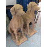 GARDEN DOG STATUES, a pair, 19th century style weathered finish, 75cm H x 14cm x 14cm.