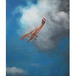 PAUL STAGG, 'De-Havilland 4 in a Dive', oil on canvas, 180cm x 150cm.