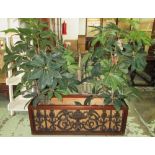 PLANTER, mahogany with metal grill, 38cm x 50cm H x 137cm W and two fake magnolia trees.