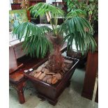 PLANTER, Regency style mahogany with fake palm, 81cm x 56cm H x 143cm.