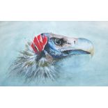 JONATHAN POOLE, 'African Vulture II', watercolour and acrylic, 55cm x 75.