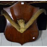 LARGE PAIR OF ANTELOPE HORNS MOUNTED ON OAK SHIELD SHAPED PLINTH