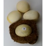 COLLECTION OF 4 VARIOUS OSTRICH EGGS