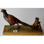 COLD PAINTED SPELTER TABLE LIGHTER IN THE FORM OF A COCK PHEASANT, WITH STRIKER & HOLDER MODELLED AS