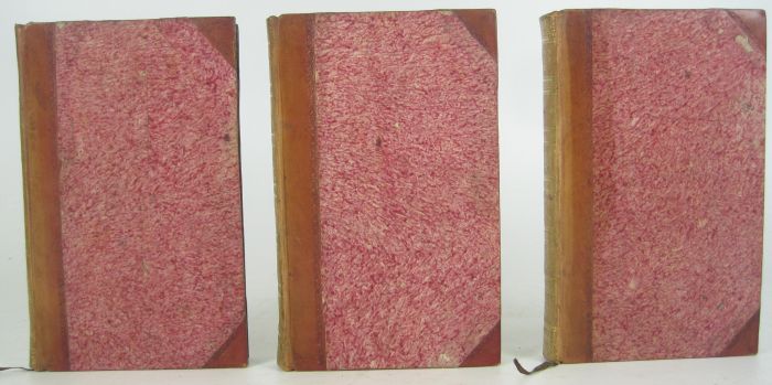 Anonymous 3 volume novel, 1818 Prodigious!!! or, Childe Paddie in London. London: for the Author, - Image 3 of 3