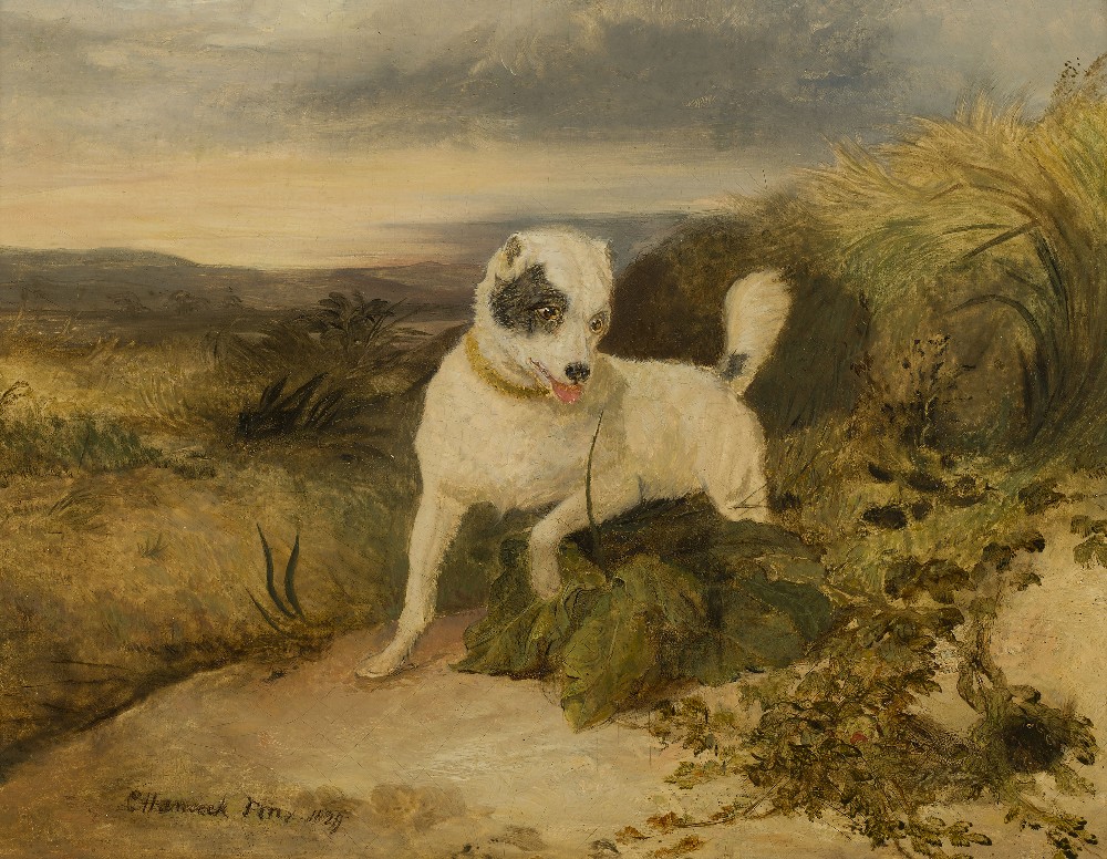 CHARLES HANCOCK (BRITISH 1802-1877)A BORDER TERRIER RABBITINGSigned and dated 1830, oil on panel24cm