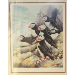 Terence Lambert, artist's proof PUFFINS framed and mounted, 42cm x 34cm