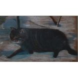Indistinctly signed, pastel study of a cat stalking in the snow, framed and mounted, 26cm x 44cm