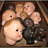 Thirteen composition dolls' heads