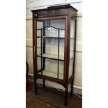 An Edwardian mahogany display cabinet with overall inlay, floral and foliate marquetry to the tray