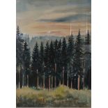 E. W. pastel on paper,  FOREST SCENE AT DUSK framed and mounted, 41cm x 29cm