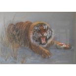 S. T. Hitch, pastel on paper ROARING TIGER Framed and mounted 34cm x 53cm