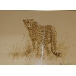 Donald Grant, watercolour SNOW LEOPARD Framed and mounted, 34cm x 46cm with Halcyon Gallery label