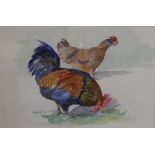 Desiree Mills, watercolour, study of a rooster, chicken and another feeding, framed and mounted,