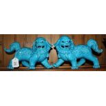 A pair of Chinese turquoise foo dogs, 16cm high