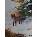 Gouache painting of a fox, signed Caroline Manning, framed and glazed, 50cm x 36cm