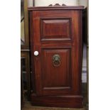 A 19th century mahogany bedside locker with single panelled door, shelved interior on a plinth,