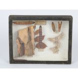 A DISPLAY CASE containing a number of preserved insects including bees, wasps, flies etc., the