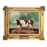 B HANCOCK (EARLY 19TH CENTURY ENGLISH SCHOOL) 'DURHAM HEIFER', oil on canvas, signed and dated