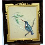 R.M. MATHER, 1975 Kingfisher on his perch, watercolour in a decorative gilt frame, 36cm x 29cm