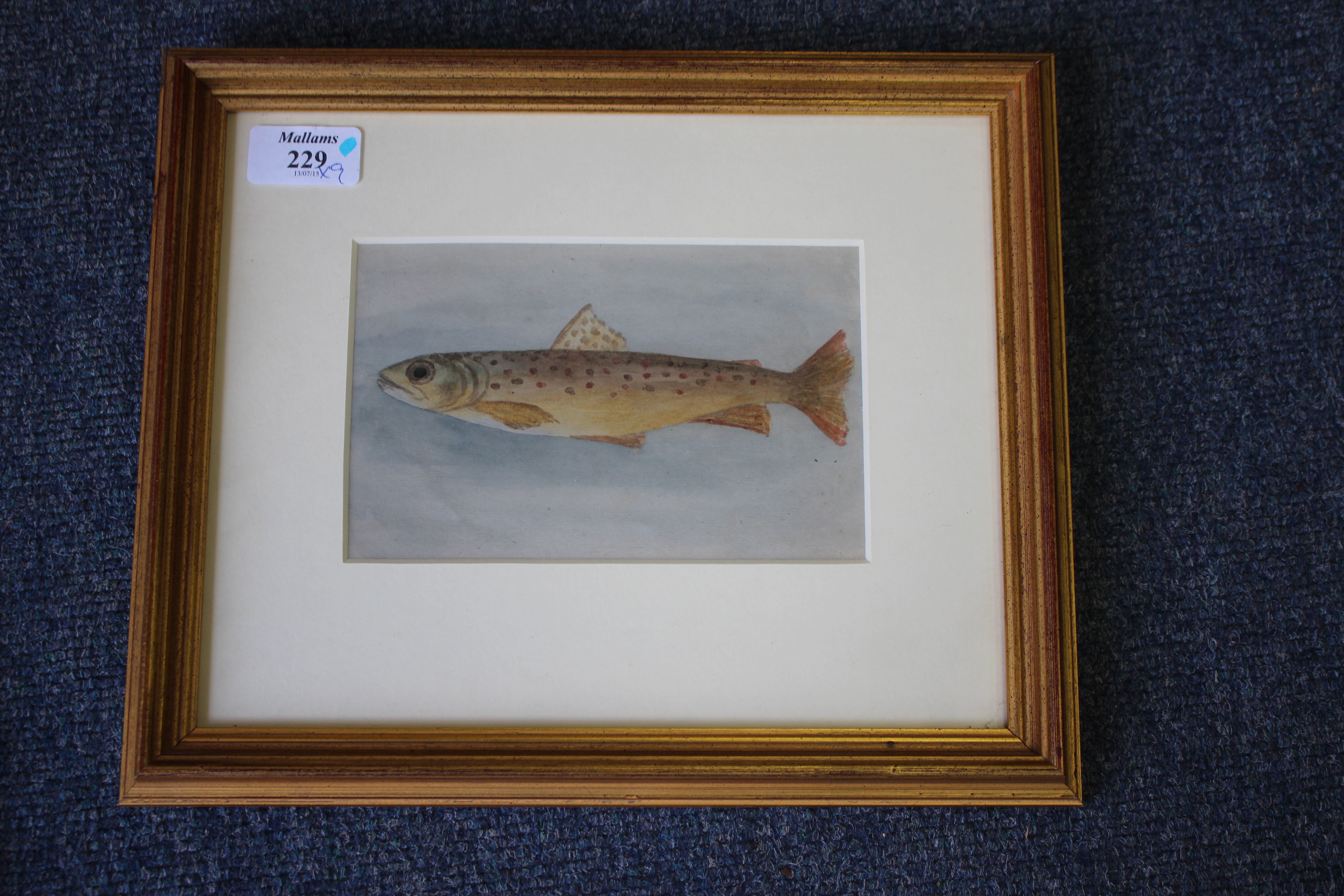 A WATERCOLOUR study of a brown trout 11cm x 17cm together with a group of further various